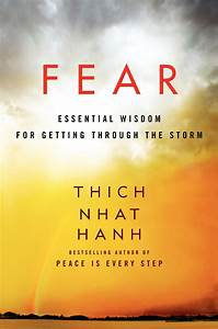 Fear - Essential Wisdom for Getting Through the Storm book cover