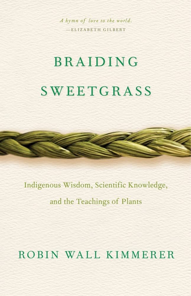 Book cover of Braiding Sweetgrass - Indigenous Wisdom, Scientific Knowledge and the Teachings of Plants